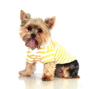 NWT Chicago Pet Boutique: Polo Shirt